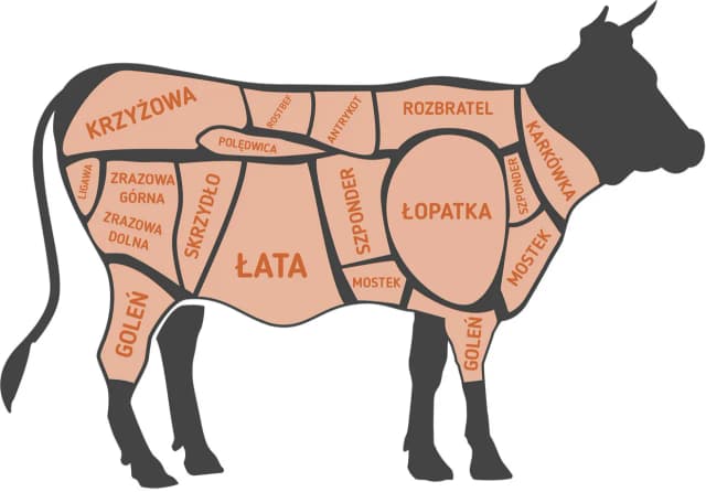 Wołowina co to za mięso? Poznaj jej pochodzenie i zastosowanie Wołowina co to za mięso? Poznaj jej pochodzenie i zastosowanie